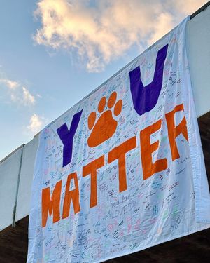 Image post by @clemsonuniversity on Instagram
