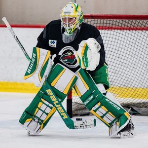 Image post by @goaliegearnerd on Instagram