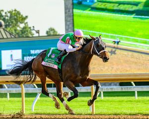 Image post by @thebloodhorse on Instagram