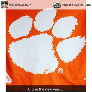 Image post by @clemsonwgolf on Instagram