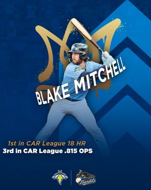 Image post by @ColaFireflies on Twitter