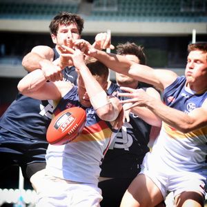 Image post by @adelaide_fc on Instagram