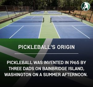 Image post by @thepickleballclinic on Instagram