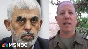Video post by @msnbc on YouTube