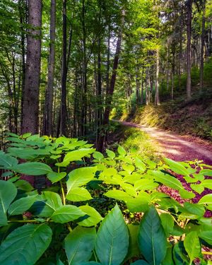 Image post by @cristan.nature.photography on Instagram