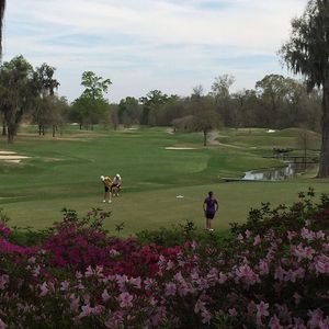 Image post by @lsuwomensgolf on Instagram