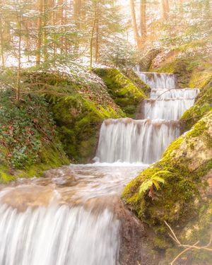 Image post by @cristan.nature.photography on Instagram