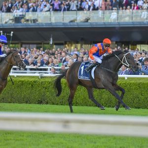 Image post by @australianturfclub on Instagram