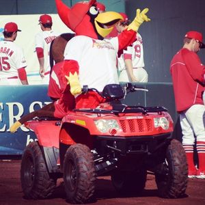 Image post by @springfield_cardinals on Instagram