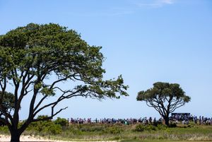 Image post by @kiawahresort on Twitter