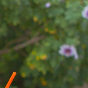 Image post by @jambajuice on Instagram