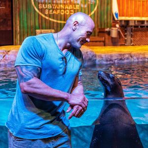 Image post by @therock on Instagram