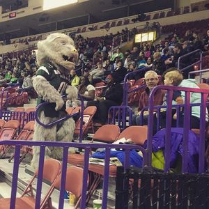 Image post by @greenbayblizzard on Instagram