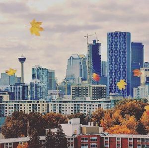 Image post by @cityofcalgary on Instagram