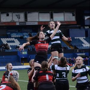 Image post by @bucssport on Instagram