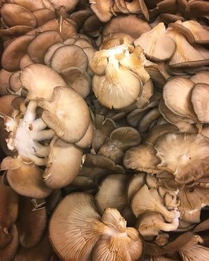 Image post by @kiawahresort on Instagram