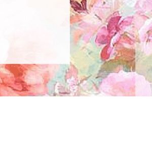Image post by @amaliah_com on Instagram