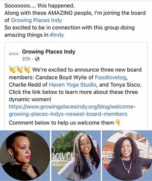 Image post by @indycreatorsociety on Instagram