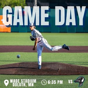 Image post by @duluthhuskies on Instagram