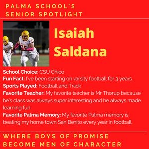 Image post by @palma_school on Instagram