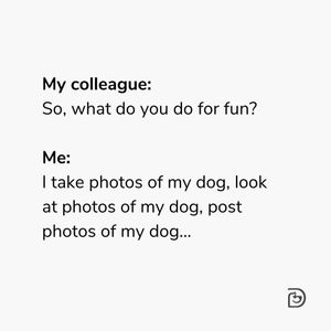 Image post by @dogtopiagr on Instagram
