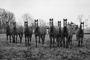 Image post by @spendthriftfarm on Instagram
