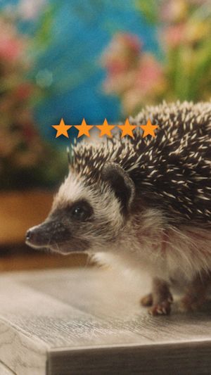 Video post by @amazon on Instagram