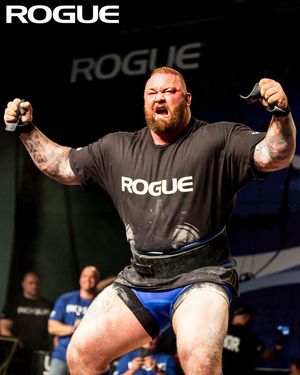 Image post by @roguefitness on Instagram