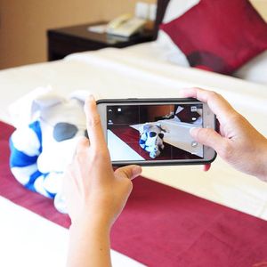 Image post by @bestwestern on Instagram