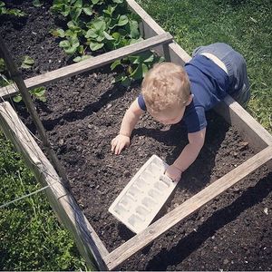 Image post by @kidsgardening on Instagram
