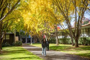 Image post by @sacstate on Instagram