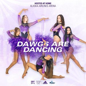 Image post by @uwgymnastics on Instagram