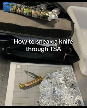 Image post by @tsa on Instagram