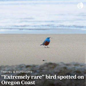 Image post by @theoregonian on Instagram