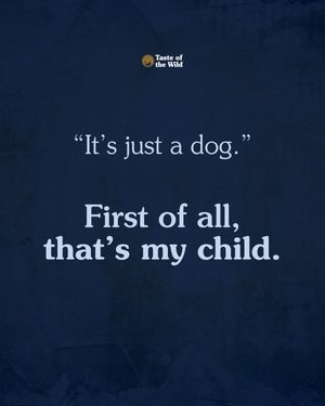 Image post by @totwpetfood on Twitter