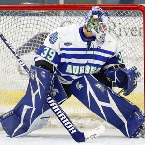 Image post by @goaliesonly on Instagram