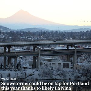 Image post by @theoregonian on Instagram