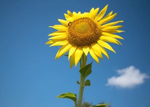 Image post by @elleemikellphoto on Instagram