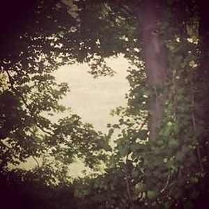 Image post by @leonardodicaprio on Instagram