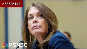 Video post by @msnbc on YouTube