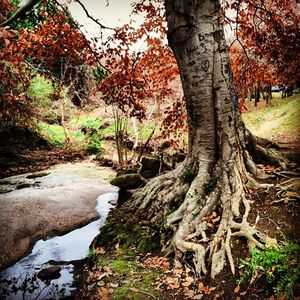 Image post by @mollybdon on Instagram