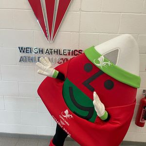Image post by @team_wales on Instagram