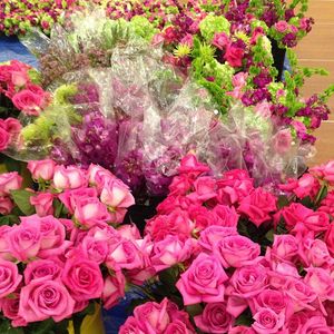Image post by @bbjlinen on Instagram