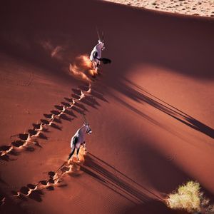 Image post by @discovery on Instagram