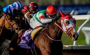 Image post by @breederscup on Instagram