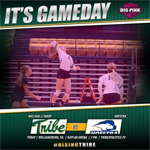 Image post by @tribeathletics on Instagram