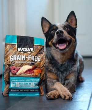 Image post by @evolvepetfood on Instagram