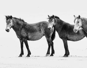 Image post by @JustinPotterPhotography on Facebook
