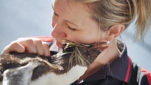 Image post by @discovery on Instagram