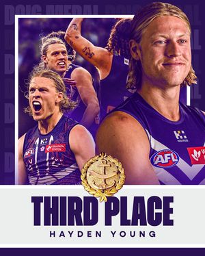 Image post by @freodockers on Instagram